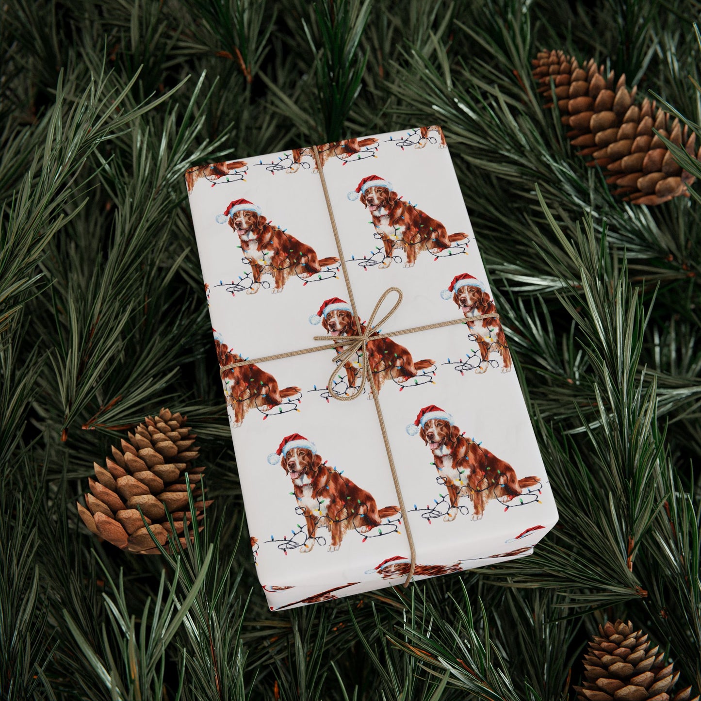 Nova Scotia Duck Tolling Retriever Christmas Lights Wrapping Paper