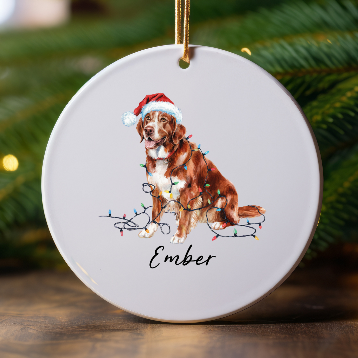 Nova Scotia Duck Tolling Retriever Ornament, Custom Dog Keepsake