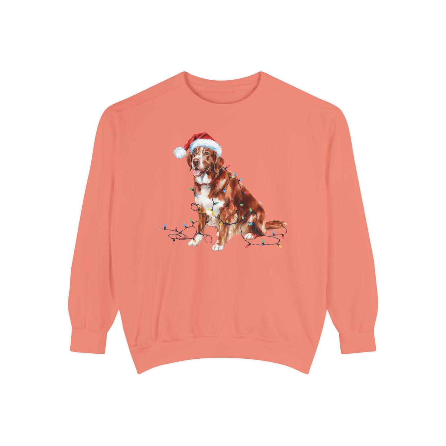 Christmas Nova Scotia Duck Tolling Retriever Sweatshirt, Christmas Lights Dog, Nova Scotia Duck Tolling Retriever Mom, Gift for Dog Lover