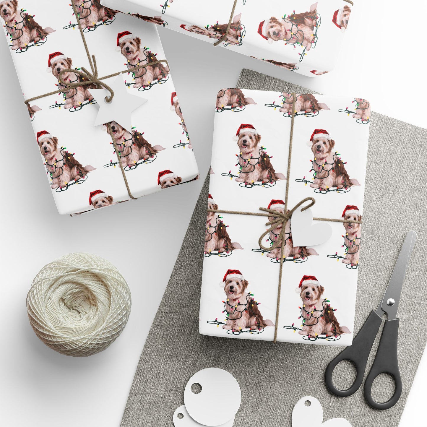 Coton de Tulear Christmas Lights Wrapping Paper