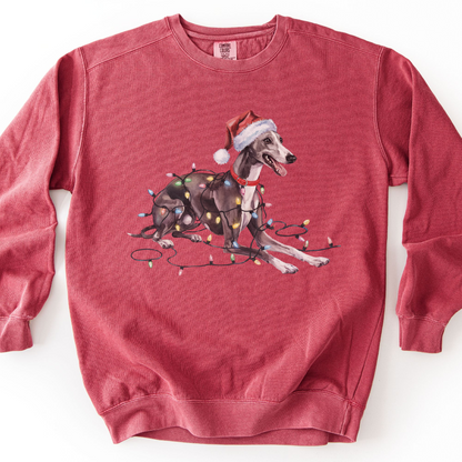 Greyhound Christmas Lights Sweatshirt