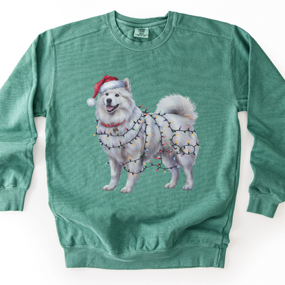 Christmas Samoyed Dog Sweatshirt, Festive Lights Dog Lover Gift