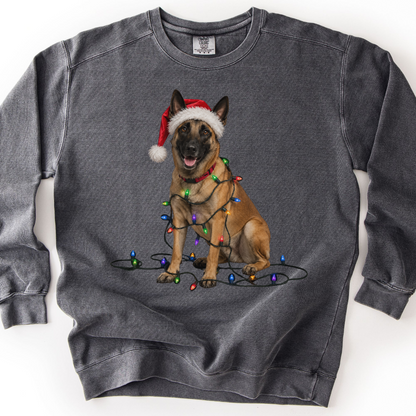 Belgian Malinois Christmas Lights Sweatshirt