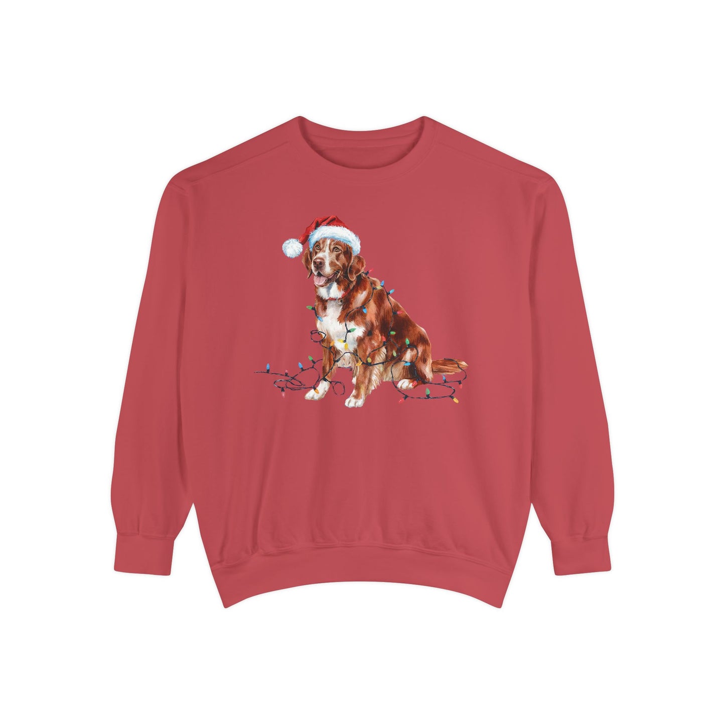 Christmas Nova Scotia Duck Tolling Retriever Sweatshirt, Christmas Lights Dog, Nova Scotia Duck Tolling Retriever Mom, Gift for Dog Lover