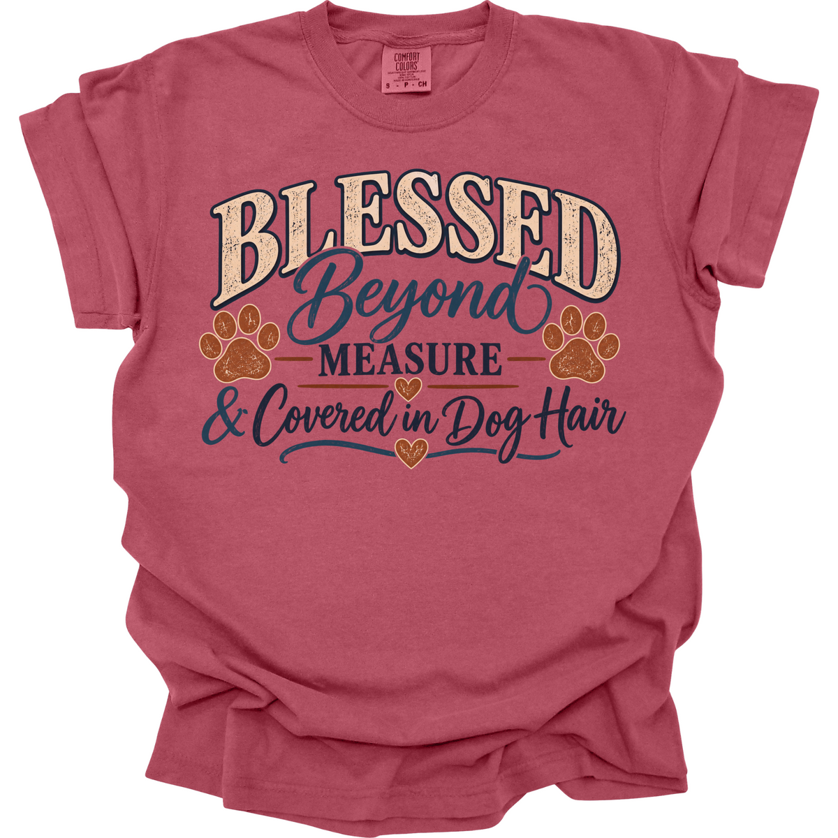 Blessed Beyond Measure Dog Hair Shirt, Christian Dog Mom Gift, Dog Lover Tee