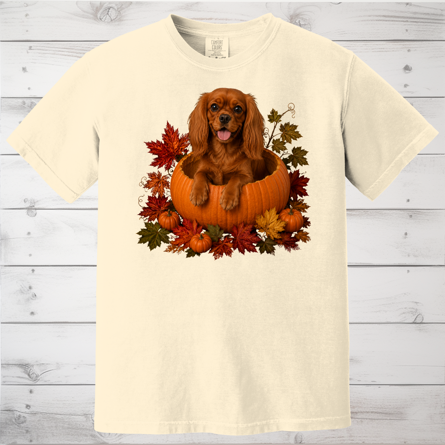 Ruby Cavalier Pumpkin Shirt