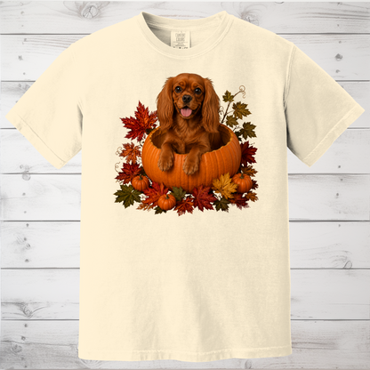 Ruby Cavalier Pumpkin Shirt