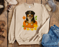 Load image into Gallery viewer, Bernese Mountain Dog Pumpkin Shirt
