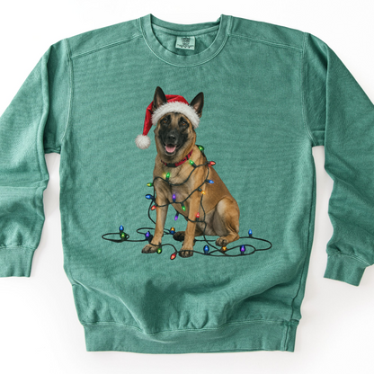 Belgian Malinois Christmas Lights Sweatshirt