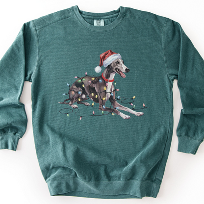 Greyhound Christmas Lights Sweatshirt