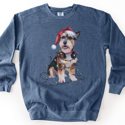 Christmas Norfolk Terrier Sweatshirt, Dog Tangled in Lights, Festive Dog Lover Apparel