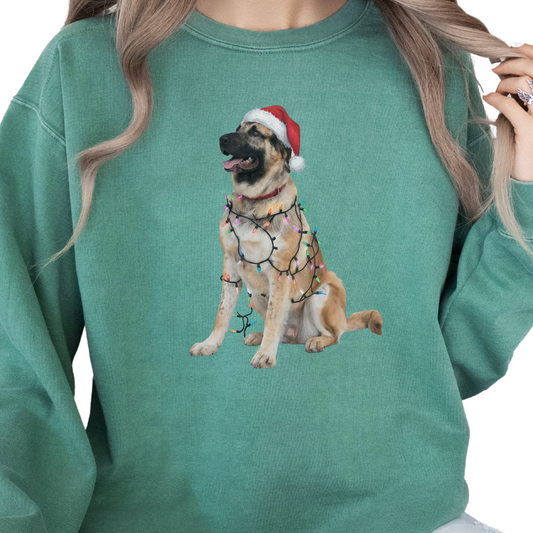 Anatolian Shepherd Christmas Lights Sweatshirt, Holiday Dog Lover Gift