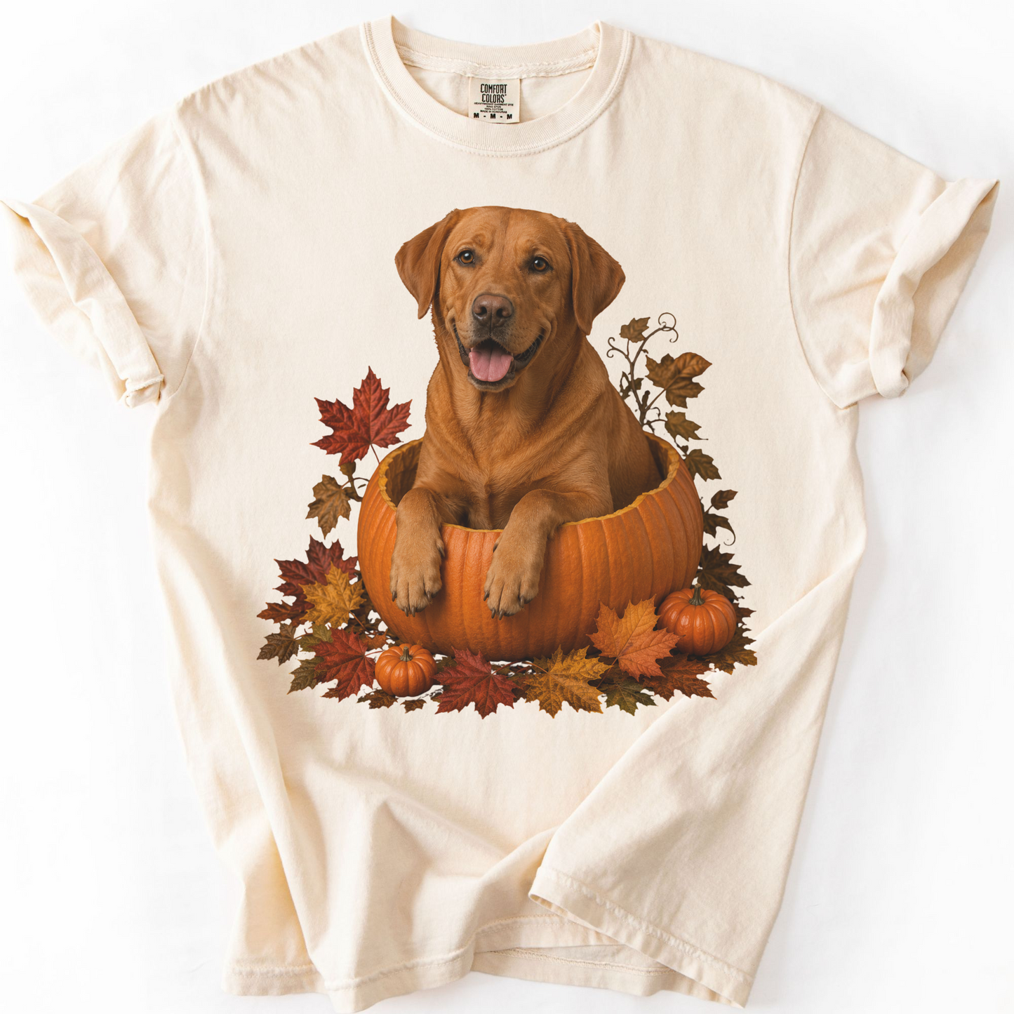Fox Red Lab Pumpkin Shirt Fall Dog Lover Autumn Labrador Comfort Colors Tee Gift Apparel