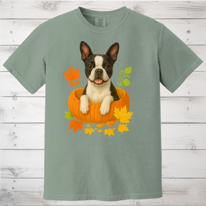 Boston Terrier Pumpkin Shirt