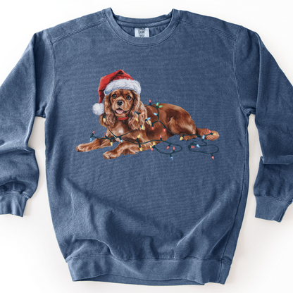 Ruby Cavalier Christmas Lights Sweatshirt