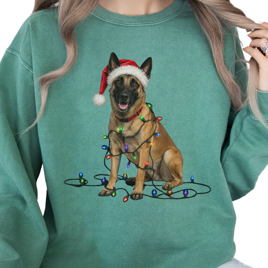 Belgian Malinois Christmas Lights Sweatshirt