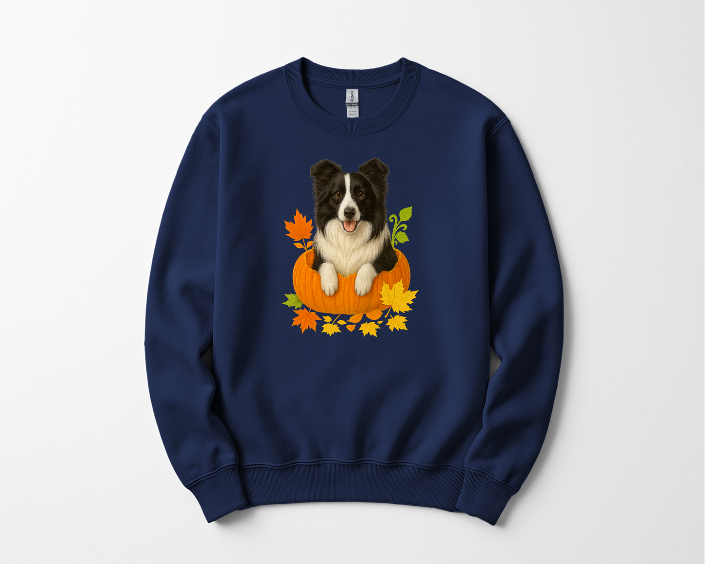 Border Collie in Pumpkin Fall Shirt