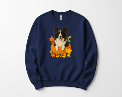 Border Collie in Pumpkin Fall Shirt