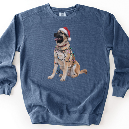 Anatolian Shepherd Christmas Lights Sweatshirt, Holiday Dog Lover Gift