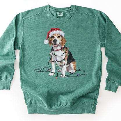 Christmas Beagle Sweatshirt, Holiday Lights Dog, Santa Hat Mom, Dog Lover Apparel