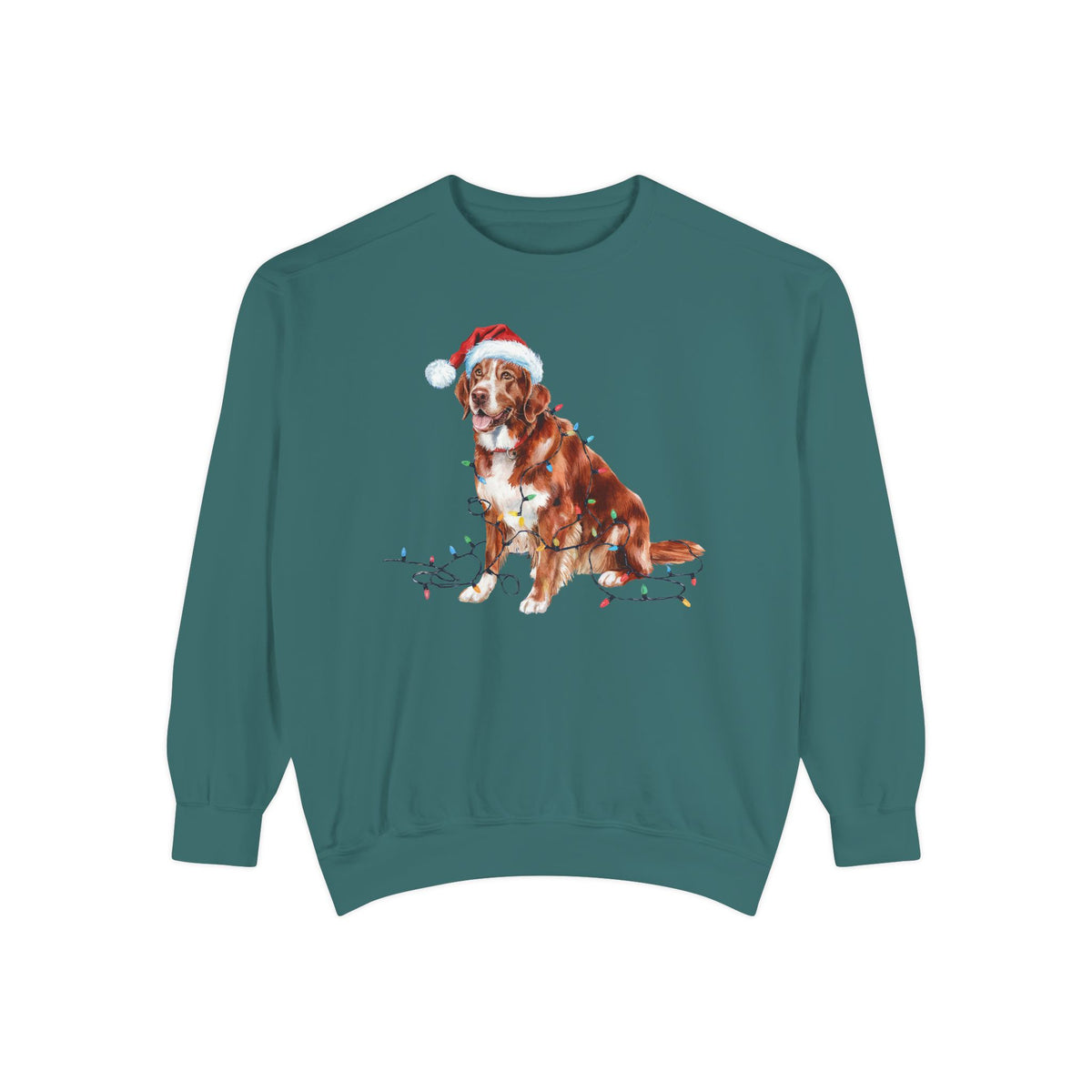 Christmas Nova Scotia Duck Tolling Retriever Sweatshirt, Christmas Lights Dog