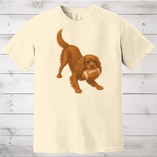 Ruby Cavalier Football Shirt