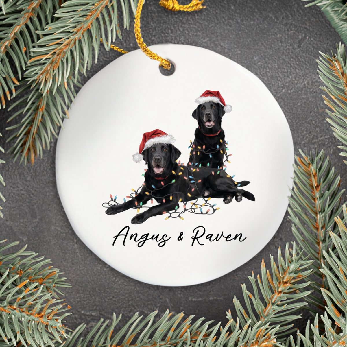 Personalized Black Labradors Christmas Lights Ornament
