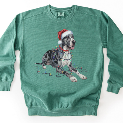 Great Dane Christmas Lights Sweatshirt