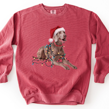 Weimaraner Christmas Lights Sweatshirt, Festive Dog Holiday Apparel