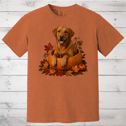 Fox Red Lab Pumpkin Shirt