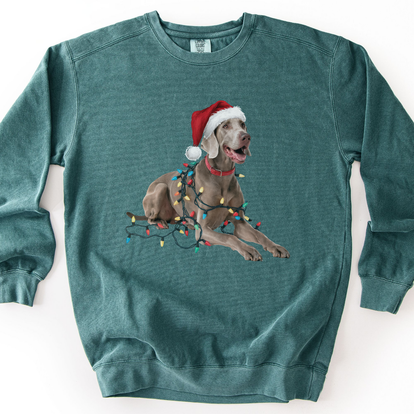 Weimaraner Christmas Lights Sweatshirt, Festive Dog Holiday Apparel