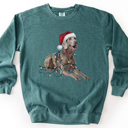 Weimaraner Christmas Lights Sweatshirt, Festive Dog Holiday Apparel
