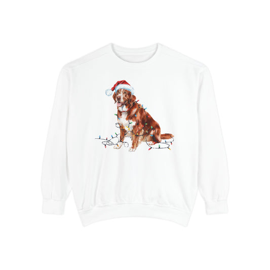 Christmas Nova Scotia Duck Tolling Retriever Sweatshirt, Christmas Lights Dog, Nova Scotia Duck Tolling Retriever Mom, Gift for Dog Lover