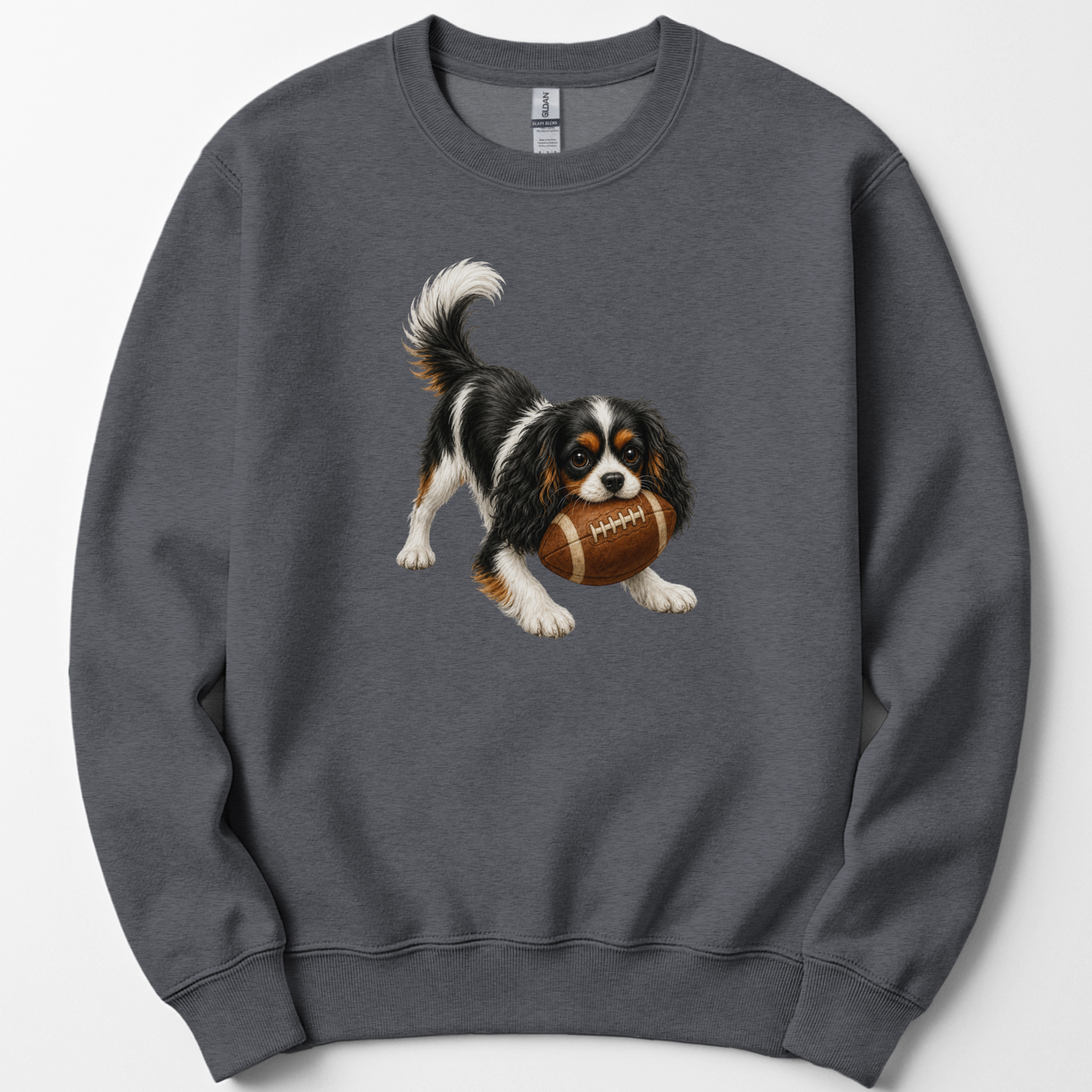 Tricolor Cavalier King Charles Spaniel Football Sweatshirt, Cute Game Day Crewneck for Pet Owners