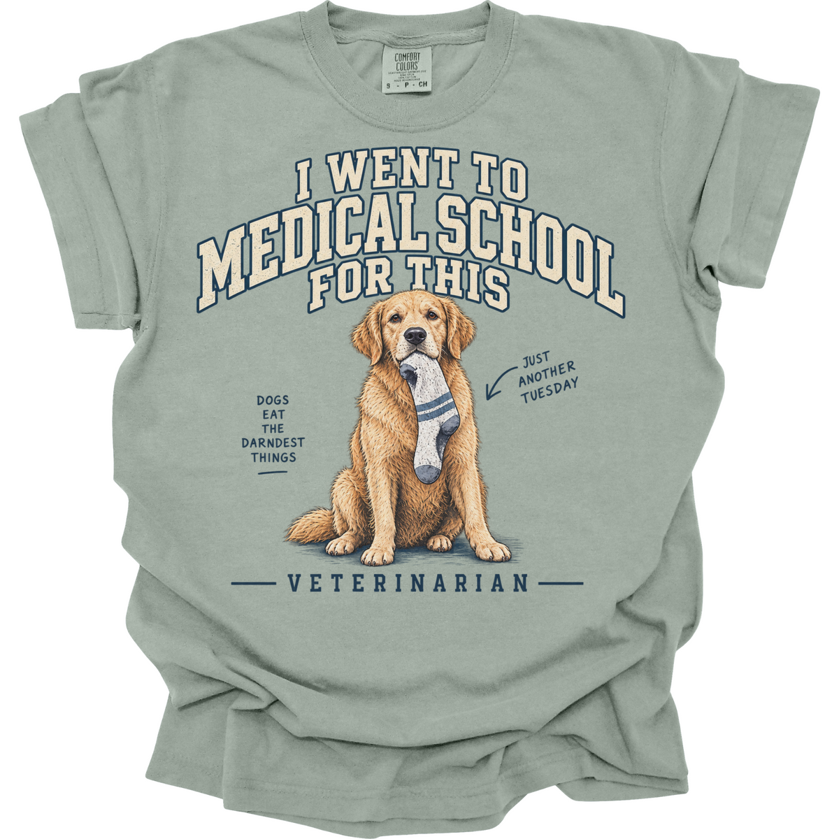 Funny Veterinarian Shirt, Vet Gift, Veterinary Medicine Tee, Dog Doctor Humor, Vet School Shirt