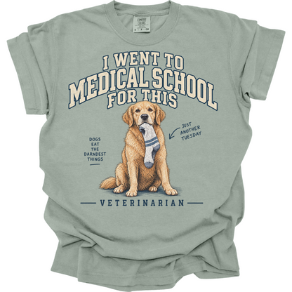 Funny Veterinarian Shirt, Vet Gift, Veterinary Medicine Tee, Dog Doctor Humor, Vet School Shirt