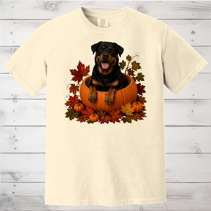 Rottweiler Pumpkin Shirt