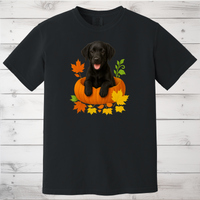 Load image into Gallery viewer, Black Lab in Pumpkin Fall Dog Lover Shirt
