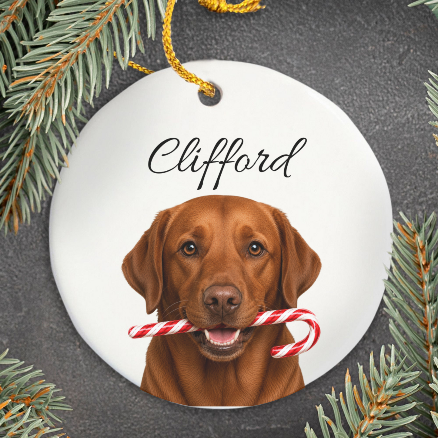 Personalized Fox Red Lab Candy Cane Ornament