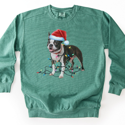 Boston Terrier Christmas Lights Sweatshirt