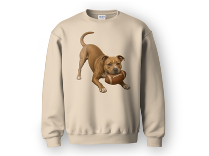 Pitbull Football Sweatshirt