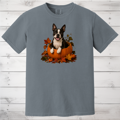 Boston Terrier Pumpkin Shirt