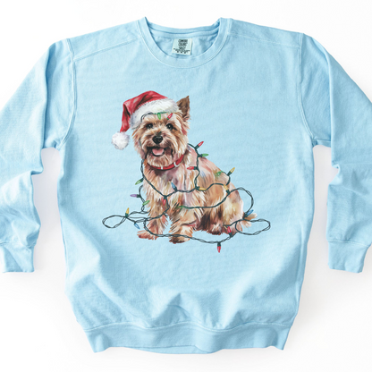 Cairn Terrier Christmas Lights Sweatshirt