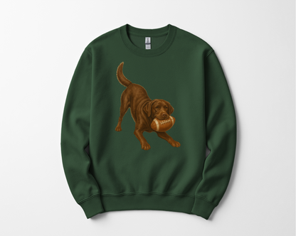 Chocolate Lab Football Sweatshirt