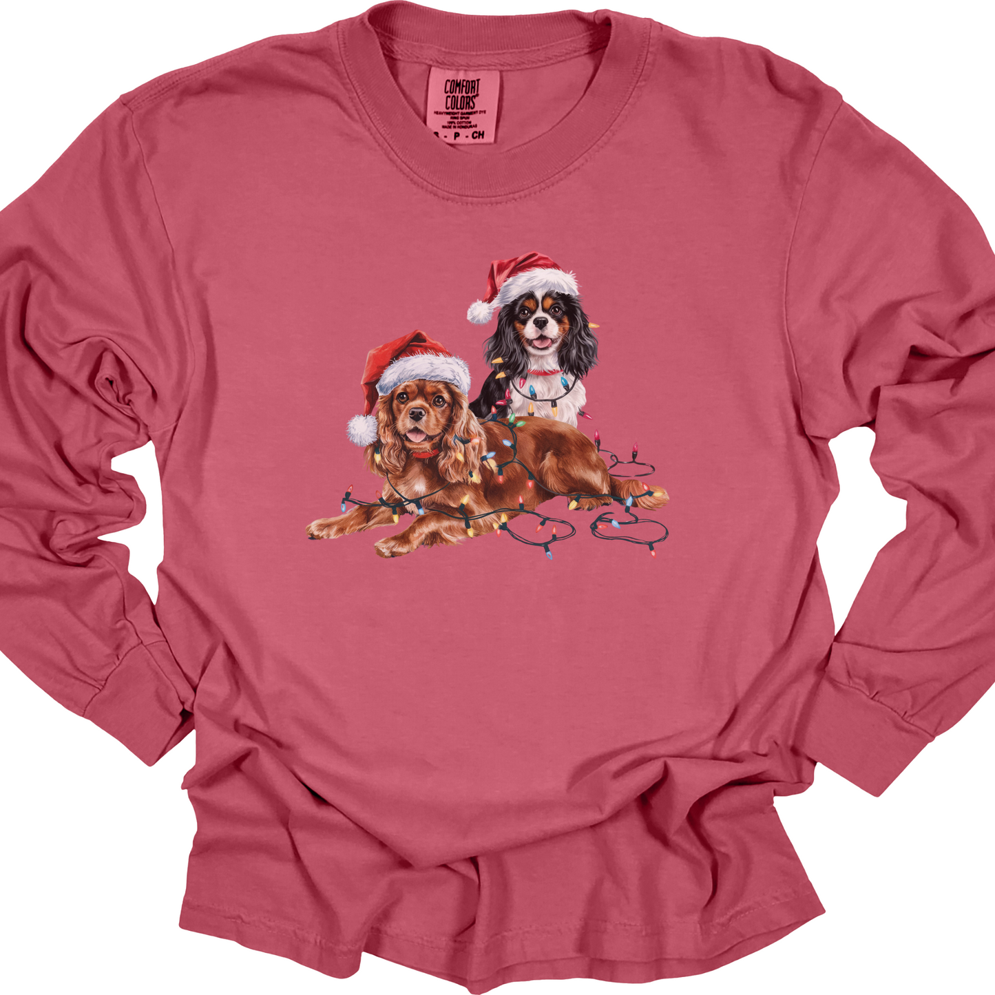 Cavalier King Charles Spaniels Christmas Lights Shirt, Funny Dog Lover Long Sleeve Holiday Top
