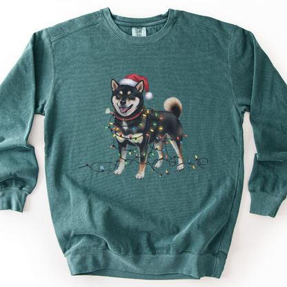 Black Shiba Inu Christmas Lights Sweatshirt, Festive Dog Lover Apparel