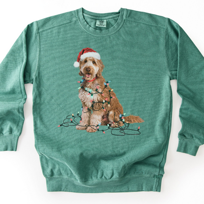 Goldendoodle Christmas Lights Sweatshirt