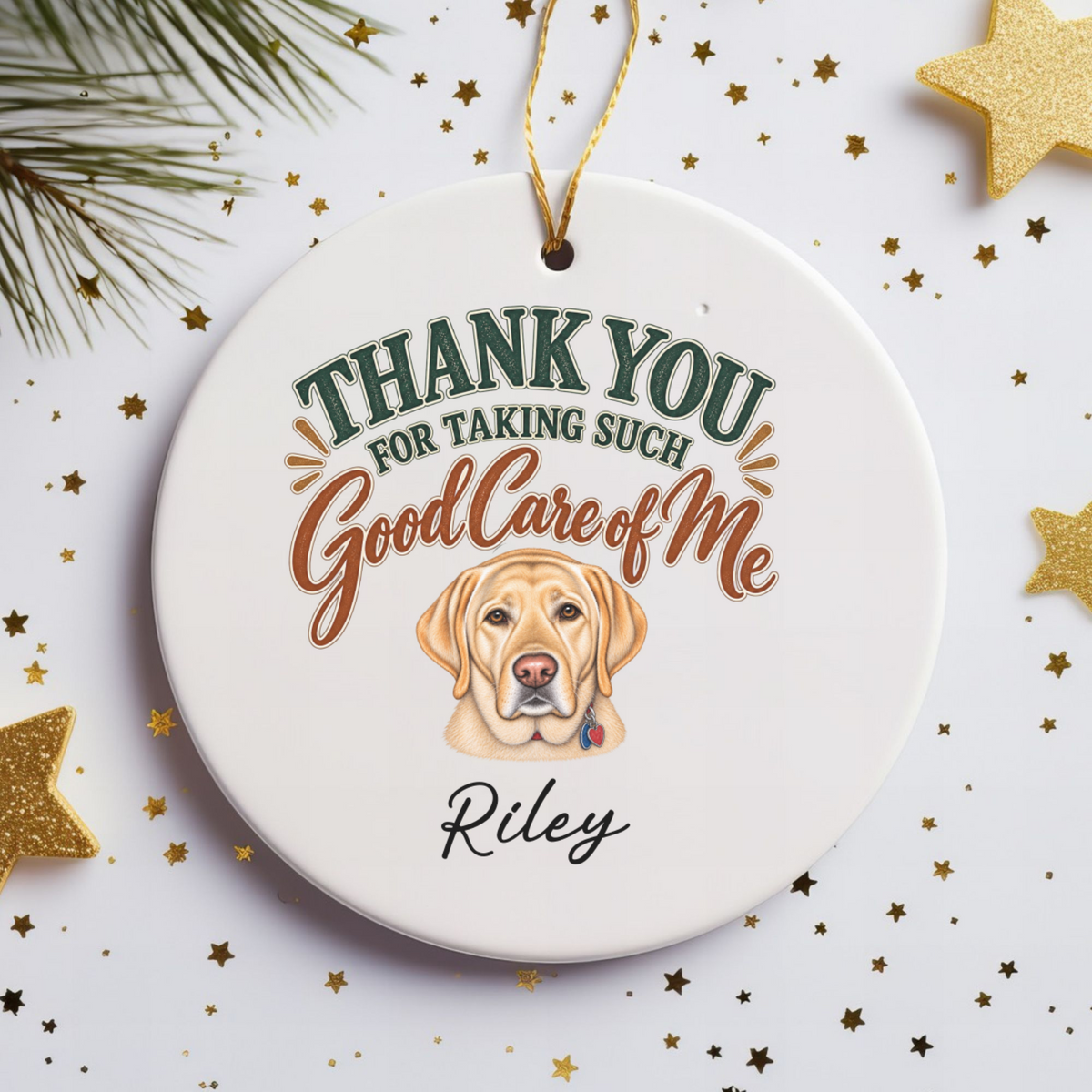 Personalized Veterinarian Ornament, Thank You Vet Gift From Dog, Custom Pet Name Keepsake