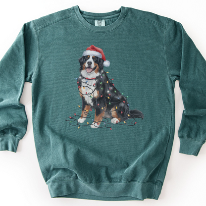 Christmas Bernese Mountain Dog Sweatshirt, Holiday Lights Dog Lover Apparel
