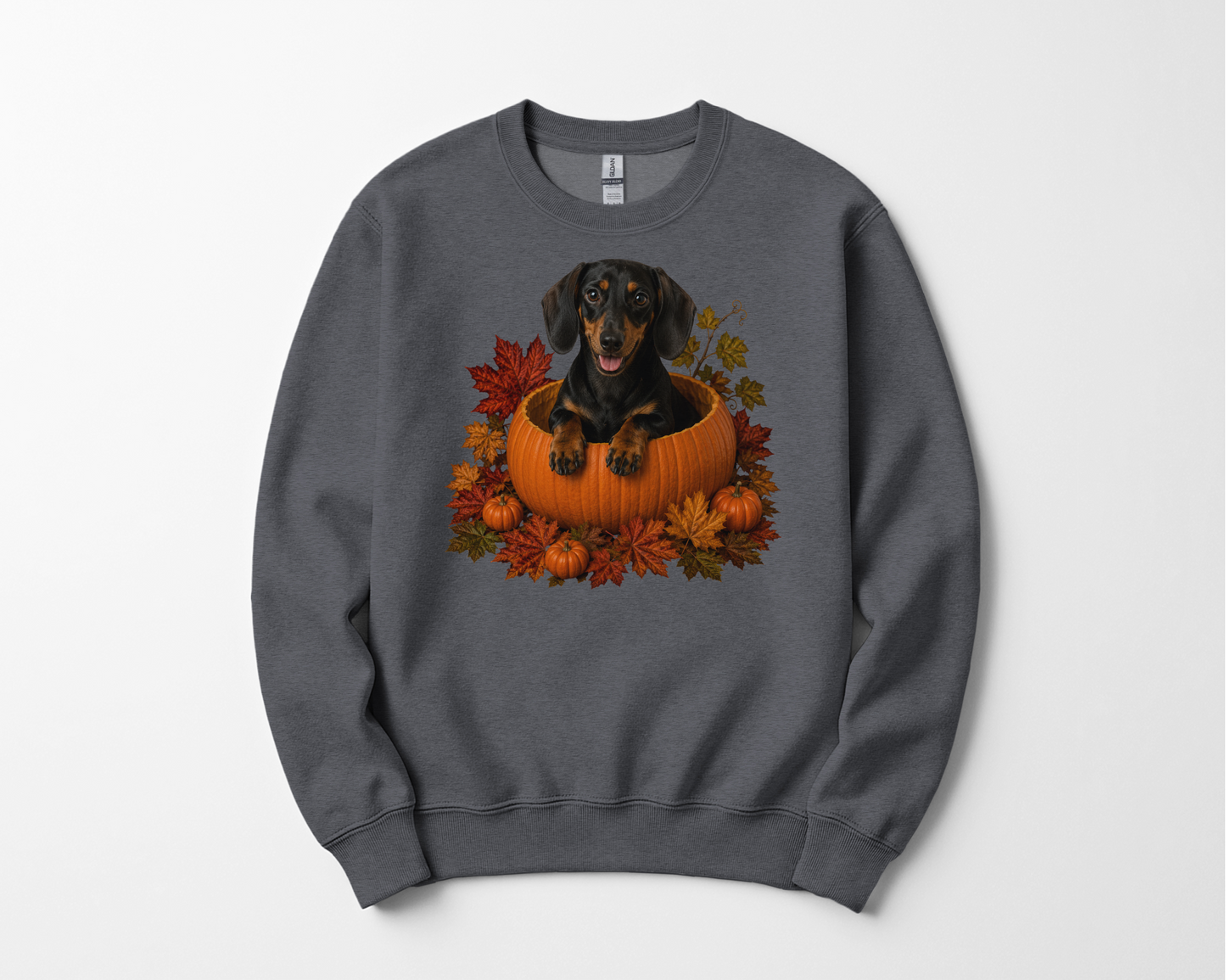 Black and Tan Dachshund Pumpkin Sweatshirt Fall Dog Lover Autumn Puppy Cozy Crewneck Gift Apparel